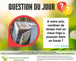 Informations dépôts sauvages, Pinsaguel